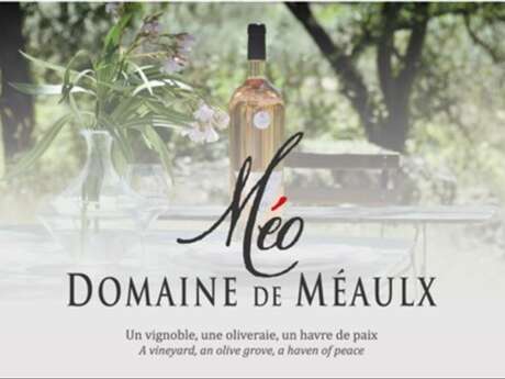 Domaine de Méaulx