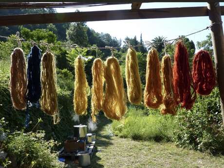 Touch animation on vegetable dyeing