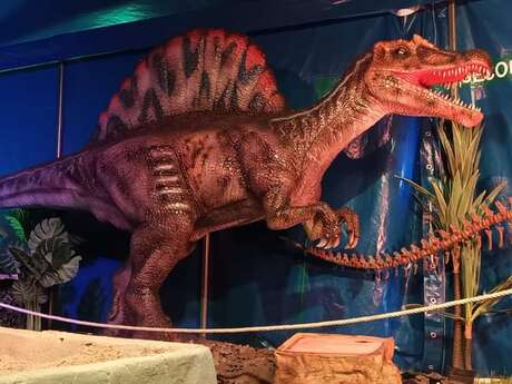 Exposition dinosaures à Thiers