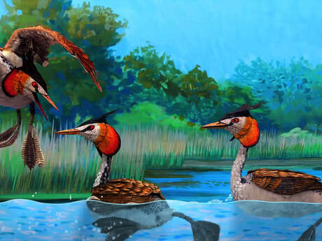 Projection de "Bonjour le monde !" à l'occasion de l'exposition d'Anne-Lise Koehler