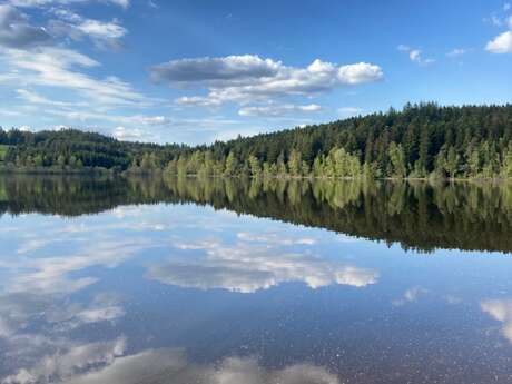 Projection : "Odyssée mare""