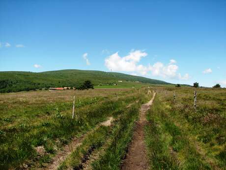 Réserve Naturelle Régionale des Jasseries de Colleigne