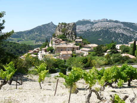 26 - Between Mont Ventoux and The Dentelles