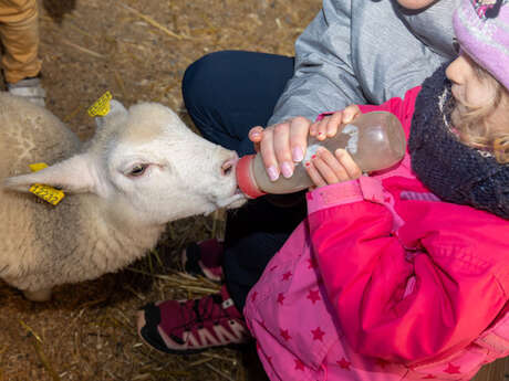 Atelier glace aux yaourts de la ferme