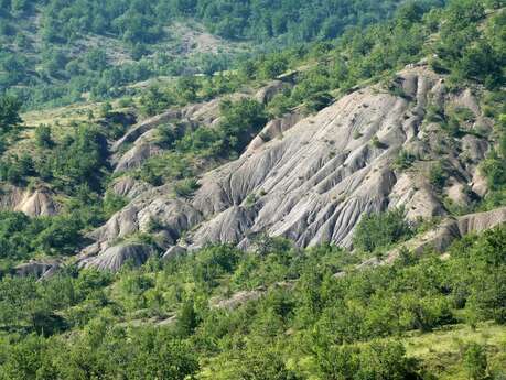 Etape 4 : Le Secours (Ribiers) - Antonaves (le Plan)