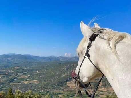 Balade à cheval et poney avec Les crinières du Mont Ventoux