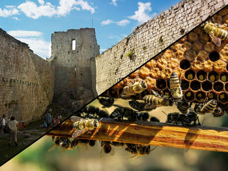 Circuit #2 - Voyage entre histoire cathare et terroirs vivants du Pays d’Olmes
