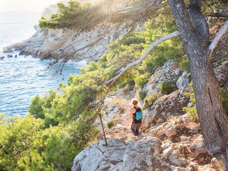 The Blue Coast and the Estaque Hills