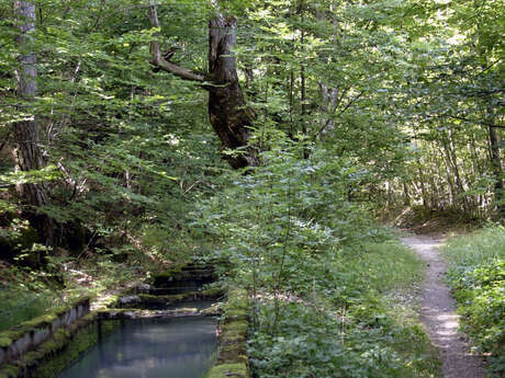 Canal des Herbeys