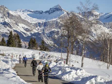 Trottinette électrique sur neige