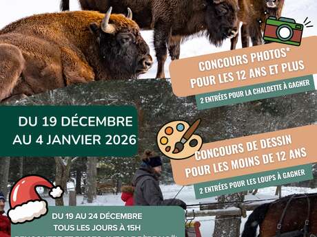 Réserve des Bisons d'Europe