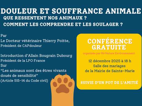 Douleur et Souffrance Animale : Que Ressentent Nos Animaux ?