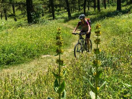 Parcours n°15 - Col de la Pousterle