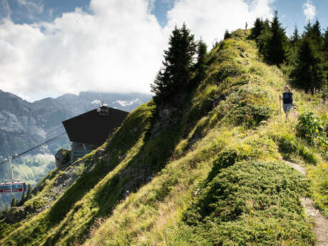 Champéry - Arête des Esserts - Croix-de-Culet