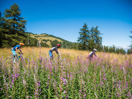 Parcours VAE - CHEMIN DU SOLEIL