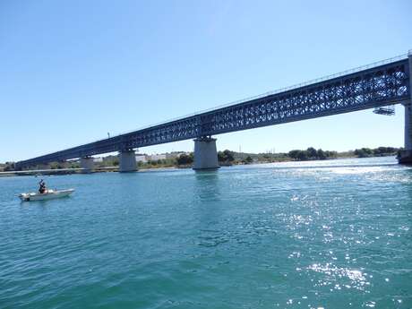 Tuesday meetings, conferences