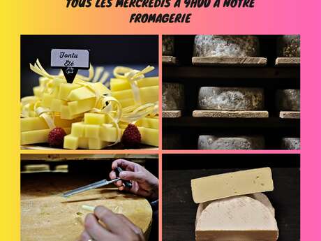 Visits and tasting at the Durance cheese factory