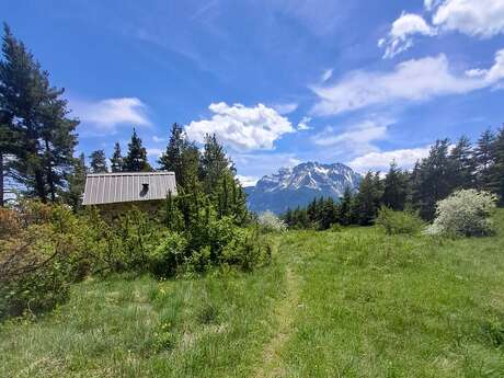 Trail N°09 - Bois de France