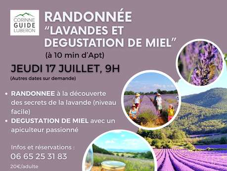 Randonnée Lavande et dégustation de miel avec un apiculteur