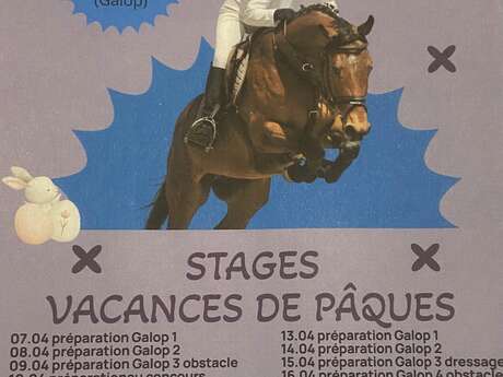 Stages vacances de Pâques de préparation aux examens fédéraux - centre équestre Terre et Ciel