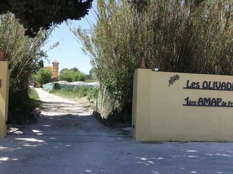 La Ferme des Olivades