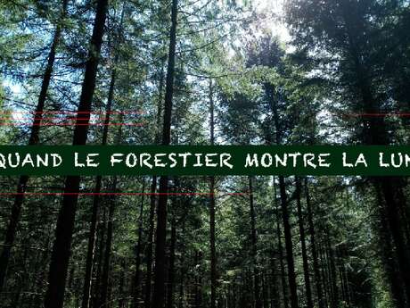 Des arbres & des hommes