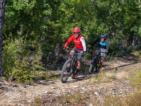 VTT n°00 - Montée du Ventoux Est