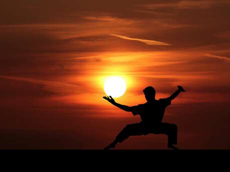 Qi Jong and Tai Ji Quan Workshop
