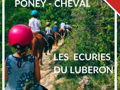 Des activités de Plein Air, ludiques, éducatives autour des Poneys, des Chevaux et de la nature.