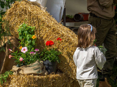 Folie(s) Végétales 2026 - Découverte de la laine, du cardage & du feutrage