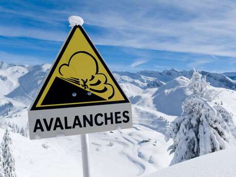 Snow and avalanche awareness and wildlife disturbance Snow and avalanche awareness and wildlife disturbance