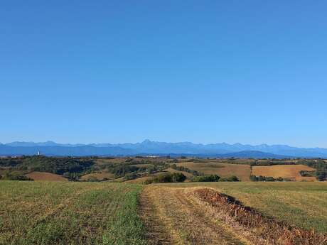 Les coteaux du Latou