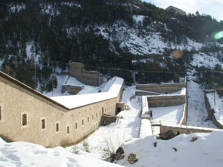 Visite: the Communication Y