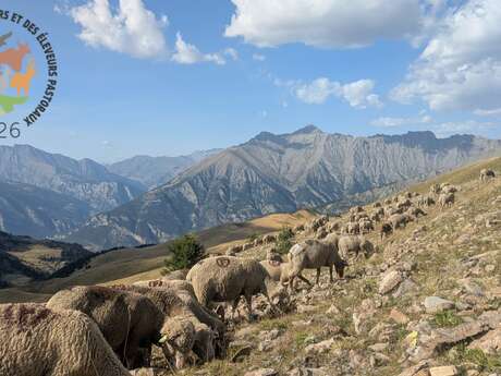 Sur les pas du berger : balade, contes et dégustation