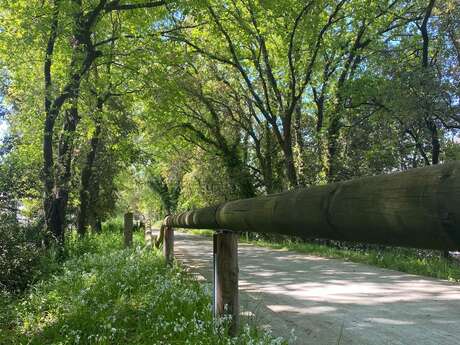 Piste cyclable : La Croix Valmer - Cavalaire