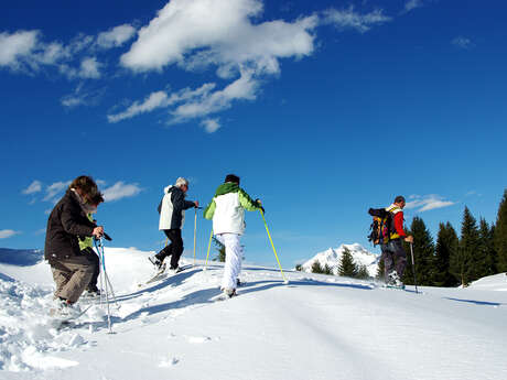 Alpi' Rando