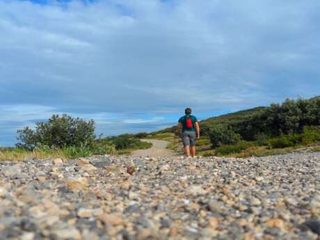 A Mediterranean bird festival