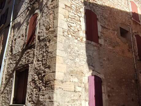 La Jovine