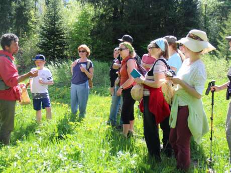Sortie découverte des plantes de montagne