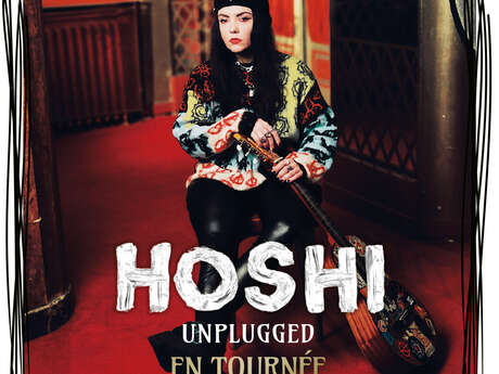 Concert : Hoshi : UNPLUGGED