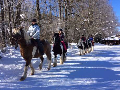 Sortie à cheval - Rando Neige