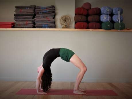 Yoga IYENGAR et Acro Yoga