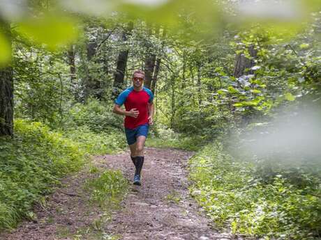 Trail N°22 - Autour des mines