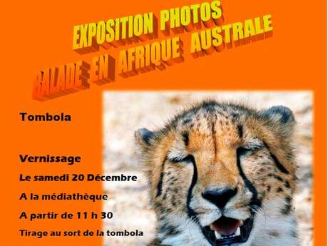 Exposition à la médiathèque