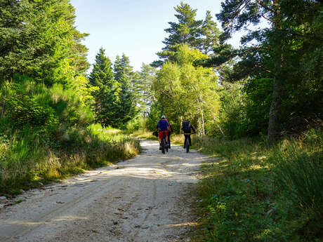 N° 63 - Les deux cols - Espace VTT-FFC Massif des Bois Noirs