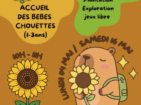 Éveil à la nature pour les enfants 1 à 3 ans " le tournesol"