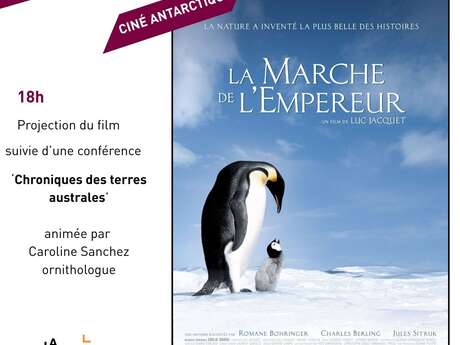 Ciné Antarctique