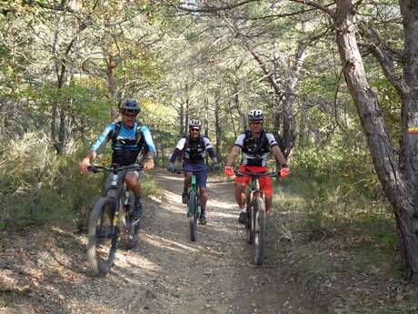 Site VTT FFC - Provence Verdon - Circuit 40 - Bleu - Régusse