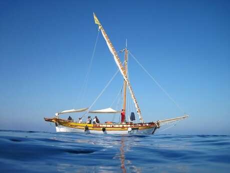 Beobachtung auf dem Segelboot - Entdeckung der Wale und Delfine des Mittelmeers