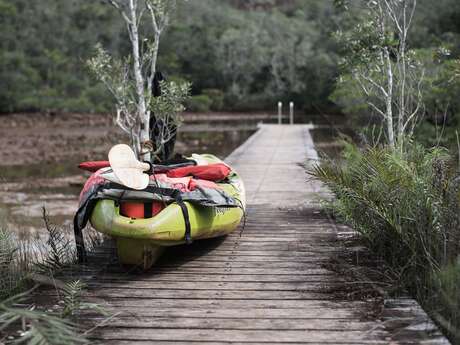 Canoe Rental - Prony's Paradise